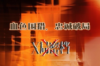 X局密档