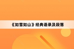 《如雪如山》经典语录及段落