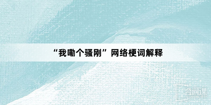 “我嘞个骚刚”网络梗词解释