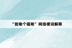 “我嘞个骚刚”网络梗词解释
