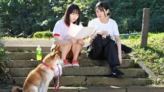今日份的散步劇照