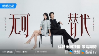 无可替代剧照