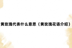 “黄玫瑰”网络梗词解释