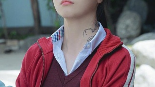 Wu Youli