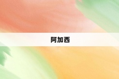 “阿加西”网络梗词解释