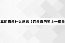 “你是真的狗”网络梗词解释