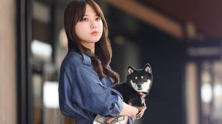初戀DOGs劇照