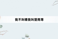 “我不叫喂我叫楚雨荨”网络梗词解释