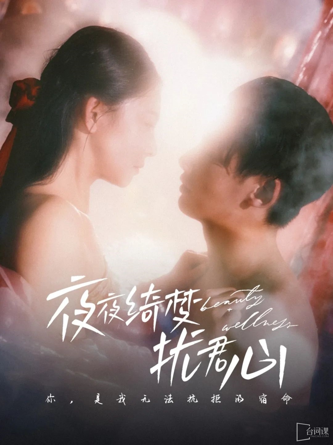 《夜夜綺夢擾君心》劇情介紹