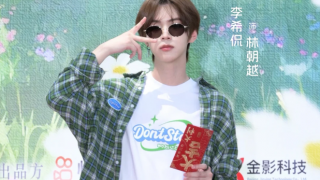 偽裝遊戲劇照