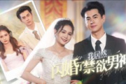 我居然闪婚了禁欲男神