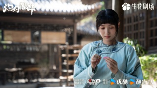 灼灼韶华剧照