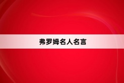弗罗姆名人名言