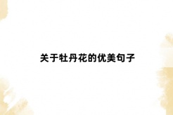 關於牡丹花的優美句子