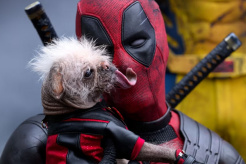 Movie《Deadpool & Wolverine》19 tribute scenes and Easter egg analysis