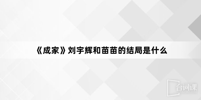《成家》刘宇辉和苗苗的结局是什么