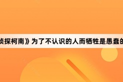 《名侦探柯南》为了不认识的人而牺牲是愚蠢的出处