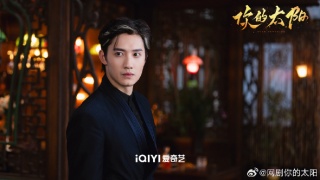 你的太阳剧照
