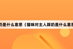 “踩奶”网络梗词解释