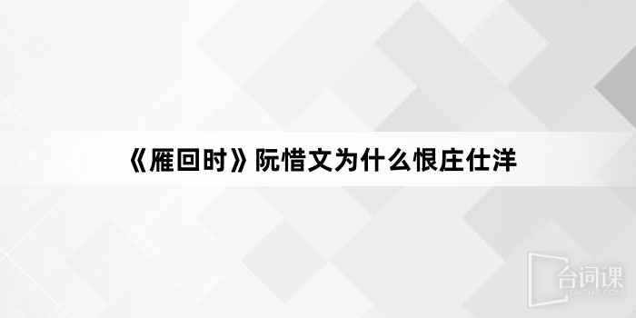 《雁回时》阮惜文为什么恨庄仕洋