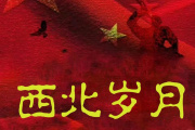 西北岁月