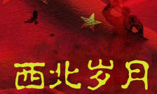 西北岁月