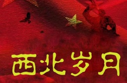 西北岁月