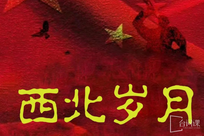 西北岁月