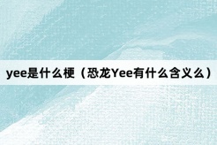 恐龙Yee”网络梗词解释