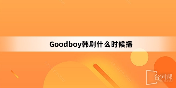 Goodboy韓劇什麼時候播