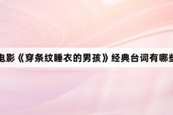 电影《穿条纹睡衣的男孩》经典台词有哪些