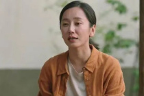 董晴