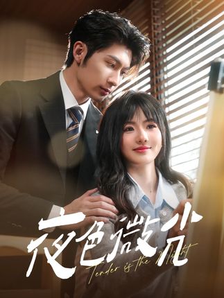《夜色微光》劇情介紹