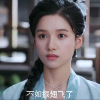 张婧仪