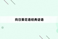 向日葵花语经典话语