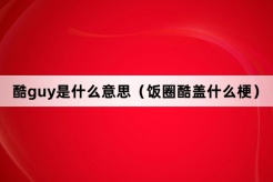 “酷guy”网络梗词解释