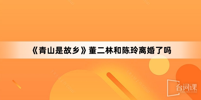 《青山是故鄉》董二林和陳玲離婚了嗎