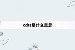 “cdts”网络梗词解释