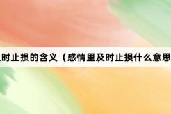“感情里及时止损”网络梗词解释