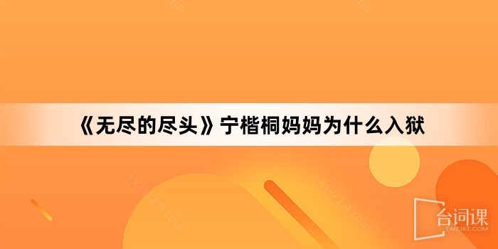 《無盡的盡頭》寧楷桐媽媽為什麼入獄