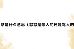 “憨憨”网络梗词解释