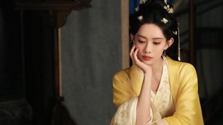桃花映江山剧照