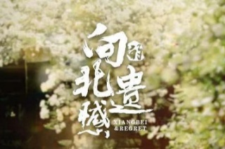 向北的遗憾