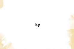 “ky”网络梗词解释