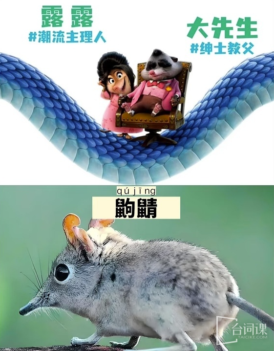 《疯狂动物城2》动物原型介绍