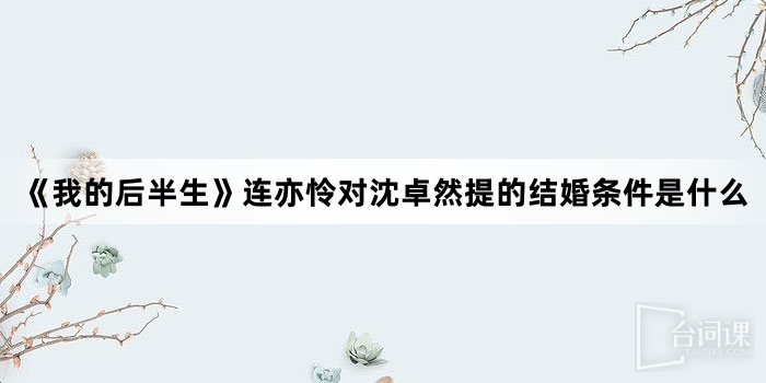 《我的後半生》連亦憐對沈卓然提的結婚條件是什麼