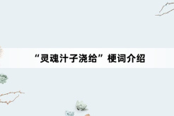 “灵魂汁子浇给”梗词介绍