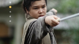 江湖夜雨终似梦剧照