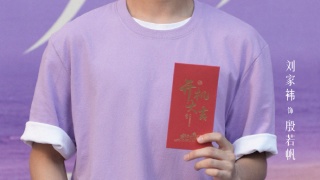 紫色大麗花劇照