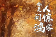 你是人间惊鸿客